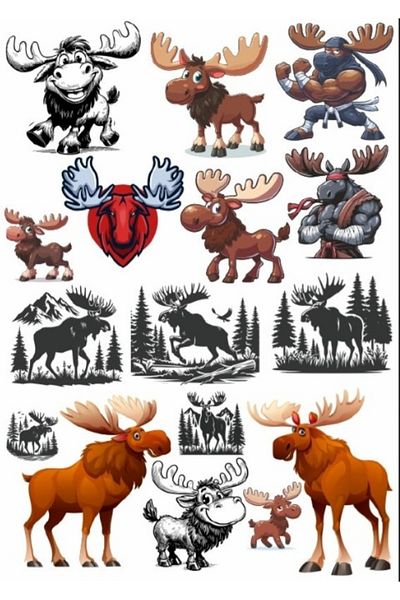 Reysa Tasarım Deer Sticker Set