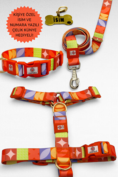 CARAMELOS KÖPEK TASMA SETİ KİŞİYE ÖZEL İSİMLİ TASMA, H TİPİ TASMA ,GÖVDE BOYUN GEZDİRME TASMASI, KÖPEK KÜNYE