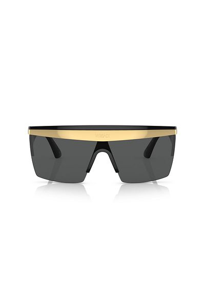 Ray-Ban Sunglasses Model S;versace;2254, 44, 1002, 87 Gray For Male