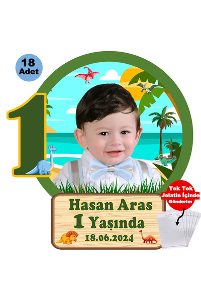 Elara Tasarım Dinozor Temalı 1 Yaş 18 Adet Fotoğraflı Kişiye özel Doğum Günü ...