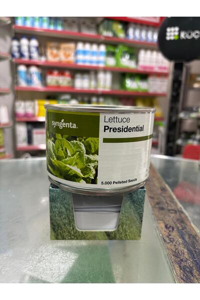 SYNGENTA Presidential Marul Tohumu 5000 Adet