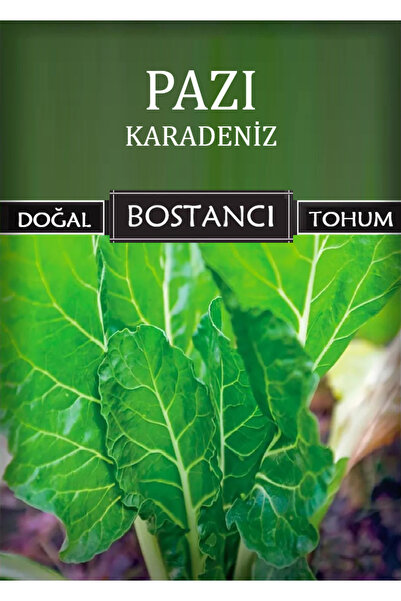 bostancı Yerli Pazı Tohumu Doğal Yerli Karadeniz Pazı Tohumu Pakette 100 gr 1...