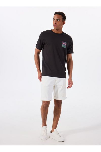 BİLLABONG Billabong Stamp Ss Ebyzt00293 Black Bicycle Collar Regular Fit Straight Men's T-Shirt