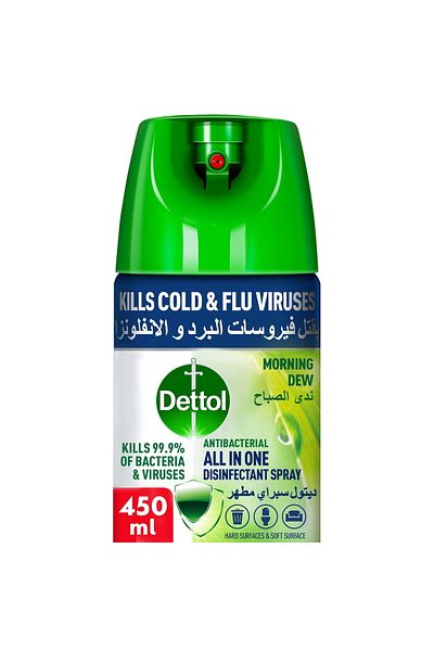 Dettol Morning Dew Antibacterial All in One Disinfectant