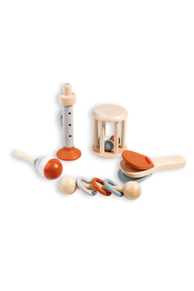 turtees 5pcs Wooden Toy set