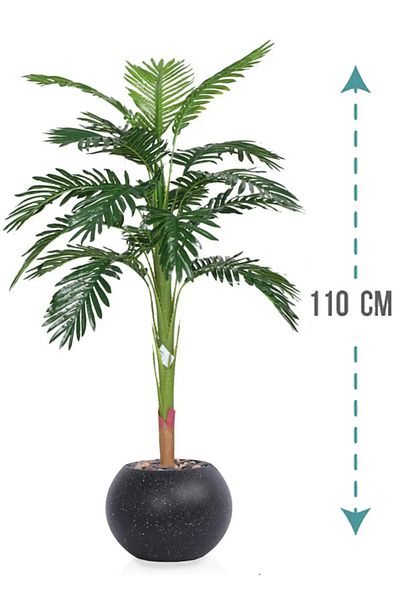 Generic Medium palm tree in a circular plastic container