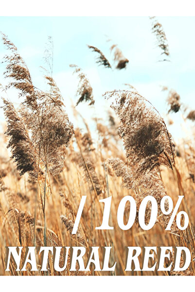 POLYBOTUM 100x100 Dekoratif Doğal Bambu Kamış Hasır Bahçe Çiti- Gölgelik Hasır -balkon -tavan Dekorasyon