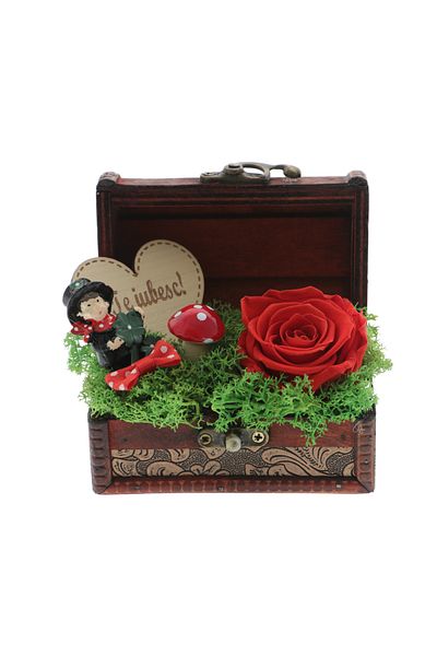 GiftExpress Red cryogenic rose in a box with a basket I love you