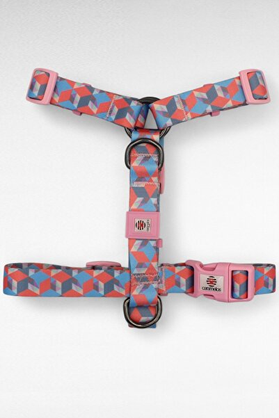 CARAMELOS KÖPEK TASMA SETİ KİŞİYE ÖZEL İSİMLİ TASMA, H TİPİ TASMA ,GÖVDE+GEZDİRME TASMASI, KÖPEK KÜNYE