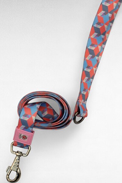 CARAMELOS KÖPEK TASMA SETİ KİŞİYE ÖZEL İSİMLİ TASMA, H TİPİ TASMA ,GÖVDE+GEZDİRME TASMASI, KÖPEK KÜNYE