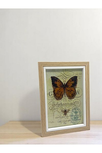 CİHO Ciho 10×15 cm Glass Wooden Decorative Contrast White Detailed Photo / Memory Frame