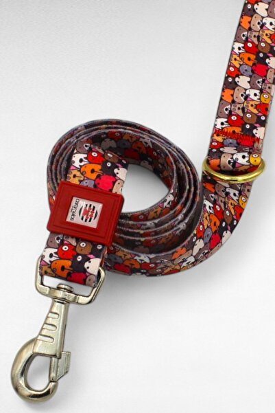 CARAMELOS KÖPEK TASMA SETİ KİŞİYE ÖZEL İSİMLİ TASMA, H TİPİ TASMA ,GÖVDE+GEZDİRME TASMASI, KÖPEK KÜNYE