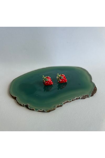 AYLAKAYA Steel Earrings