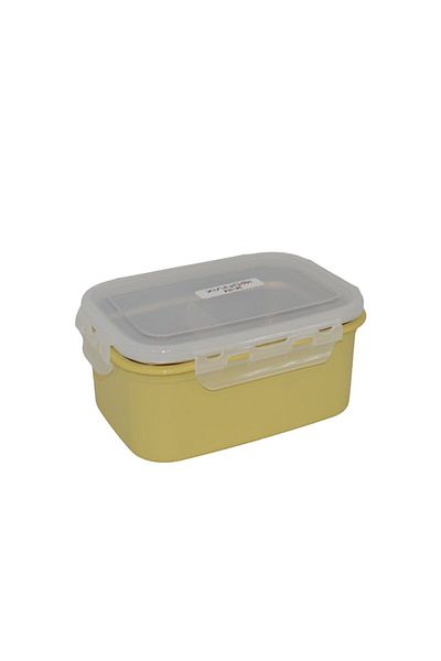 Generic Compartmental Food Container with Stainless Steel Bowl and Spoon