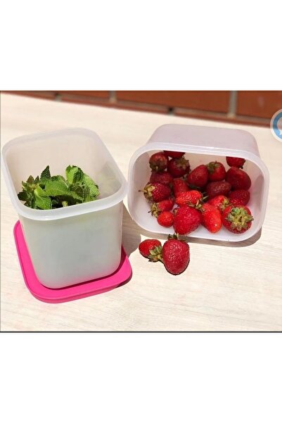 Tupperware 2 Adet 1.1 LT Alaska.