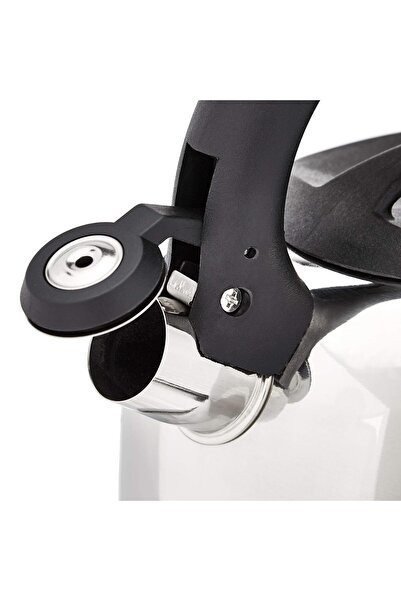 Amazon Whistling kettle, classic, capacity 1.9 L, Stainless Steel, ergonomic heat-resistant handle