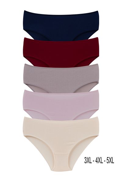 Dominant Women's Plus Size Panties 5 Pack