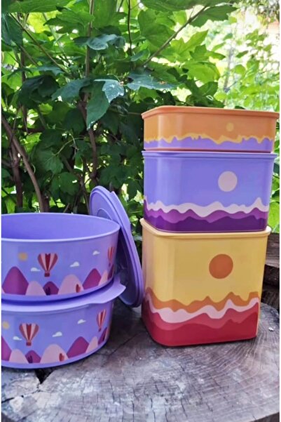 Tupperware Kubik Set 2 Adet Yuvarlak Kurabiye Kabı.