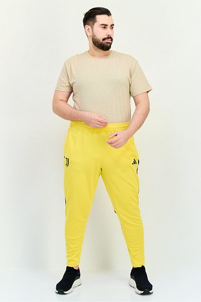 adidas Men Sportswear Fit Juventus Brand Logo Training Training Pants, Yellow