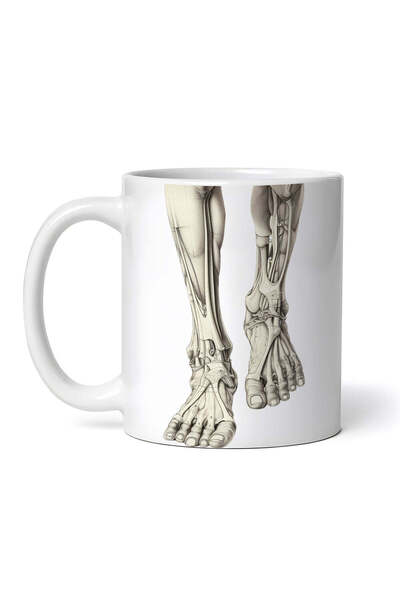 OEM Εξατομικευμένη λευκή κούπα, Αρχαία ανατομία παράξενα οστά ποδιών, INOVATI...