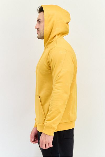 adidas Men Sportswear Fit Long Sleeve Outdoor Hooded Sweatshirt, Gold