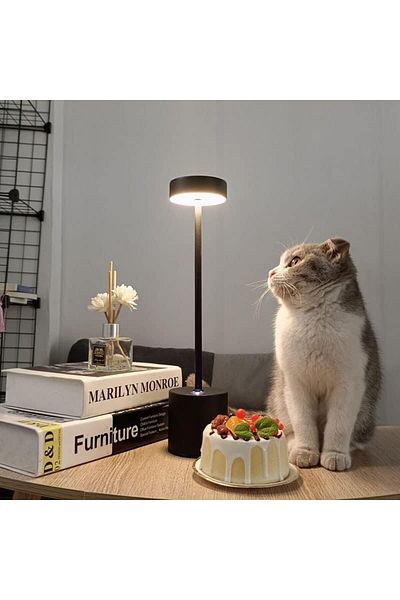 COOYA Cordless Desk Lamp, Rechargeable, Outdoor Portable, 6000mah Battery, 2 Brightness Levels, 34 X 8 Cm