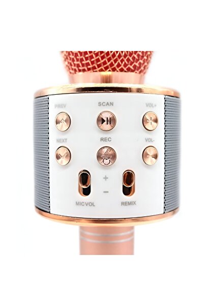 Flippy Microfon Karaoke pentru Copii, Bluetooth, Difuzor Integrat, Compatibil Smartphone, Rose Gold