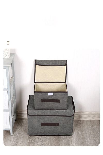 Primo Plus Pack Of 2 Foldable Storage Box With Lid Multicolour 36x23x24cm