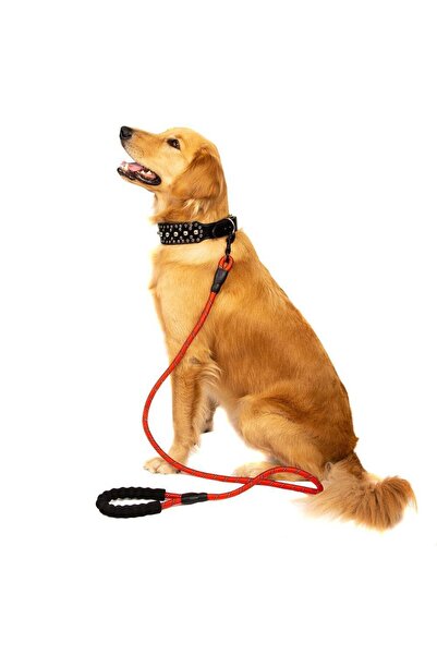 zola Λουρί εκπαίδευσης σκύλου, 150x1 cm, λαβή αφρού, ανακλαστικό υλικό, κόκκινο