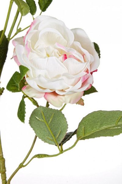Bizzotto Set of 12 Artificial roses white pink 72 cm