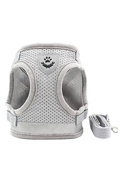 zola Dog harness and leash set, size S, soft mesh, 30-36 cm torso, 120 cm leash, gray