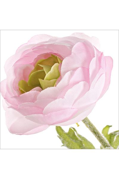 Bizzotto Ranunculus Artificial 3 Flori Roz Pudrat 60h
