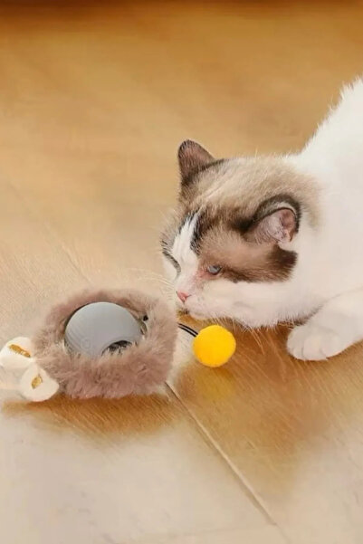 mywarehouse Şarjlı Akıllı Otomatik Gezen Kuyruklu Fare Kedi Oyuncağı