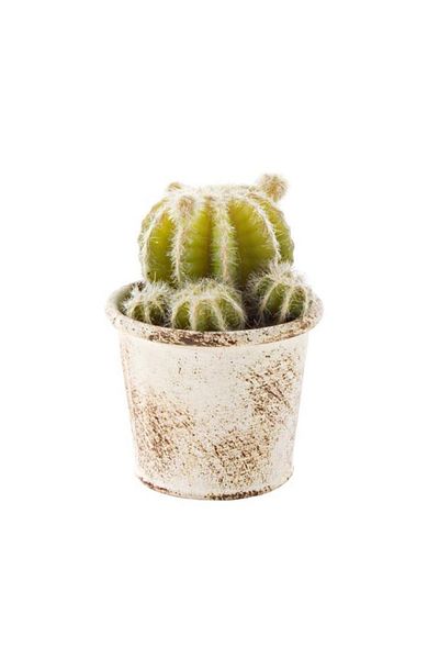 Bizzotto Cactus Artificial In Ghiveci Alb Patinat 10 X 10 X 11h