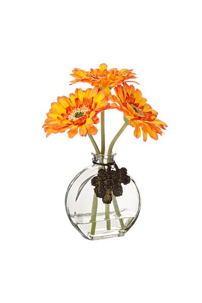 Bizzotto Glass vase set with 3 artificial orange gerbera flowers 20 H