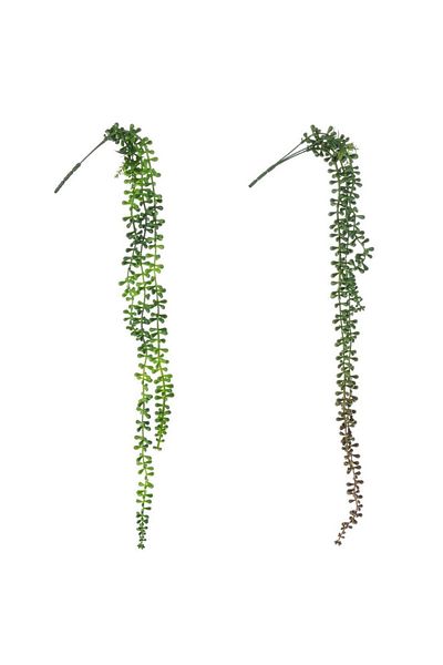 Bizzotto Set of 2 Evergreen Artificial Plants 71 Cm
