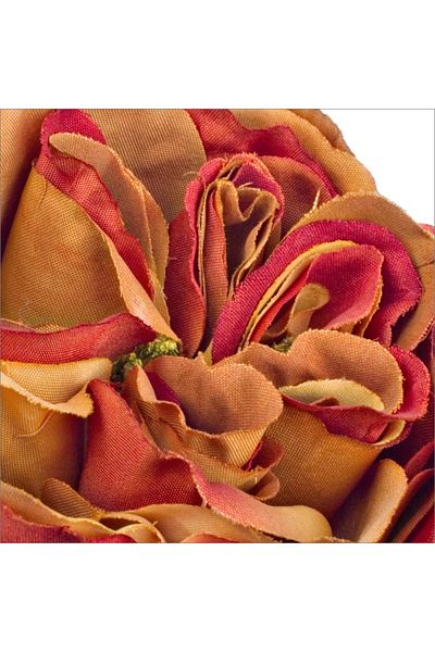 Bizzotto Artificial orange English rose 30 h