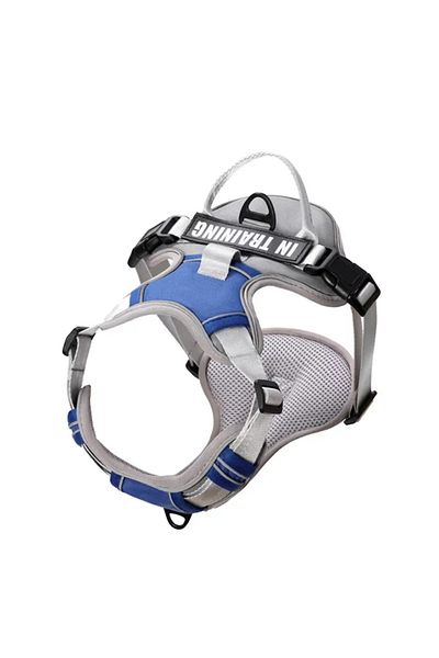 zola Ham reglabil catei, marimea L, reflectorizant, 62-83 cm piept, carlig lesa, albastru