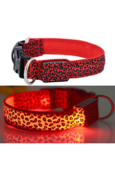 zola Κολάρο σκύλου/γάτας, με LED, μέγεθος S, κόκκινο