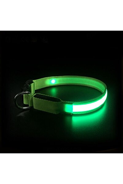 zola Κολάρο σκύλου, με φως LED, 3 λειτουργίες φωτισμού, M, ρυθμιζόμενη περιφέρεια 36-46cm, πράσινο