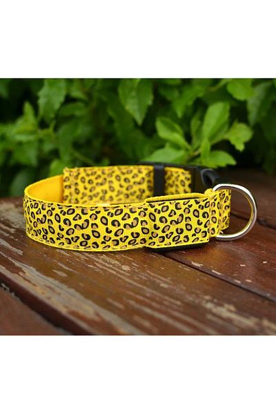 zola Dog/cat collar, with LED, size S-yellow