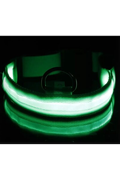 zola Κολάρο σκύλου, με φως LED, 3 λειτουργίες φωτισμού, M, ρυθμιζόμενη περιφέρεια 36-46cm, πράσινο