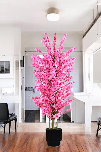 florayapaycicekcom pembe bahar dalı kiraz çiçegi sakura 81 dal dogal gövdeli vega saksı