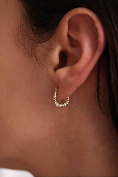 Gianfranco 14 Ayar Altın Rozet Fiyonk Midye Küpe