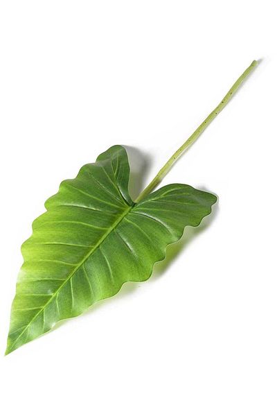 Decorer Cala Decor Leaf 55 Cm