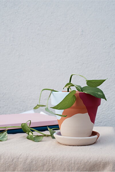 Terracotta Konik Saksı+Tabak • Vişne Mavi • 3 Farklı Boy Seçeneğiyle (Küçük Orta Büyük)