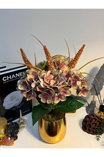 MY LOVE ÇİÇEKÇİLİK Gold Metal Saksıda Islak Dokulu Bohem Ortanca Çiçeği