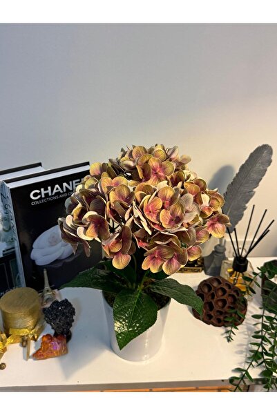 MY LOVE ÇİÇEKÇİLİK زهرة الكوبية البوهيمية في وعاء سيراميك أبيض