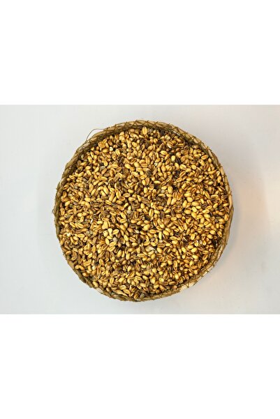 KÖKNAR SAÇTA KAVRULMUŞ SİVAS'A ÖZGÜN KAVURGA 500 GR