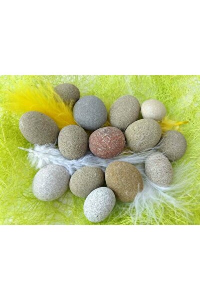 AKILLICA Taş Boyama Hayvan Çizim Taşları Boyanabilir Taşlar 10 Adet